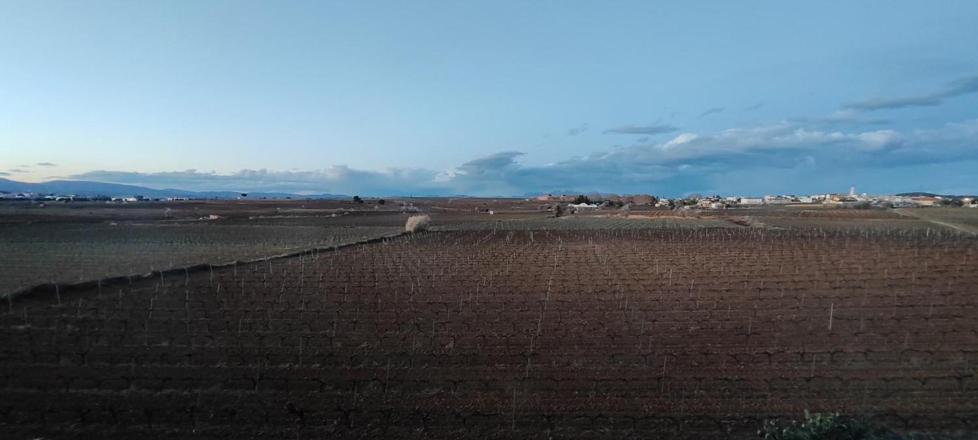 Sant Cugat de SesgarriguesCal Llop别墅 外观 照片
