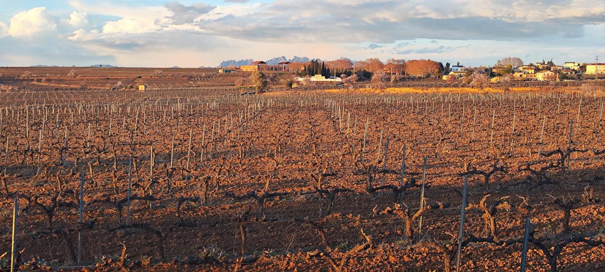 Sant Cugat de SesgarriguesCal Llop别墅 外观 照片