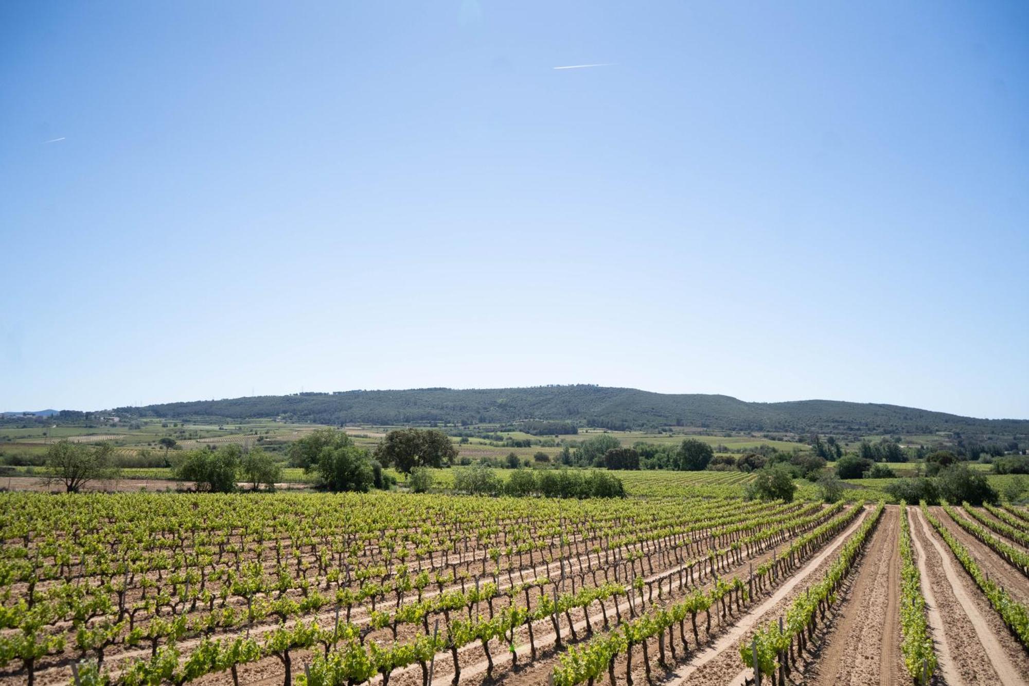Sant Cugat de SesgarriguesCal Llop别墅 外观 照片